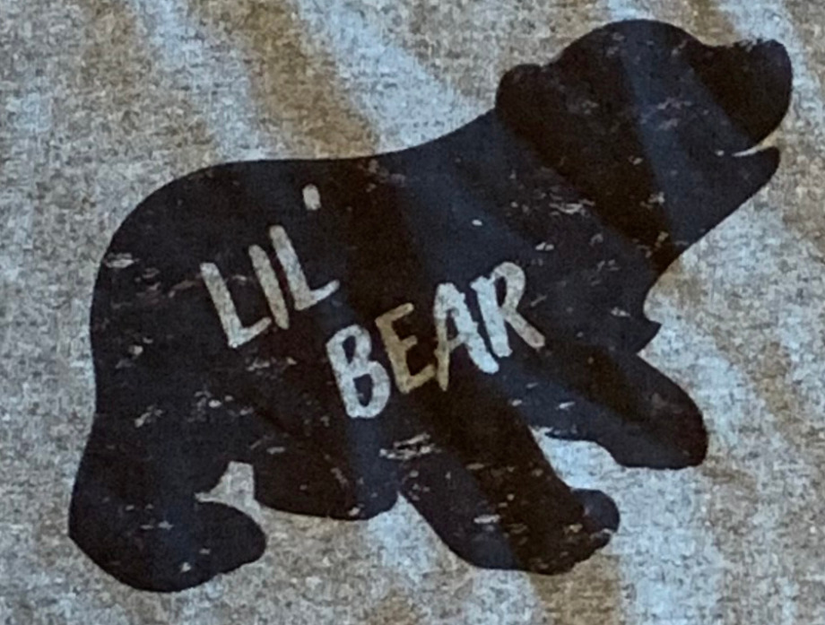 Lil' Bear The Maples' Tree 